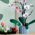 Lego Orchidea e Piante Grasse: due nuovi set in uscita dal 1 Maggio!